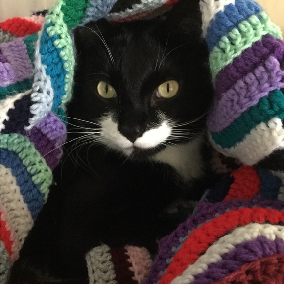 Meet your Posher, Christine - Picture 5 of 14